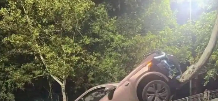 西安惊现“飞车”奇景：新能源车开上绿化带树